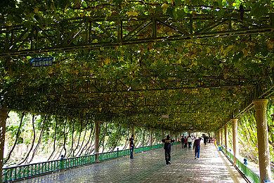 《脑航员2》中文化正在稳步推进中 进度良好！